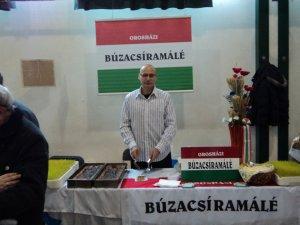 Fesztivál - kép 1